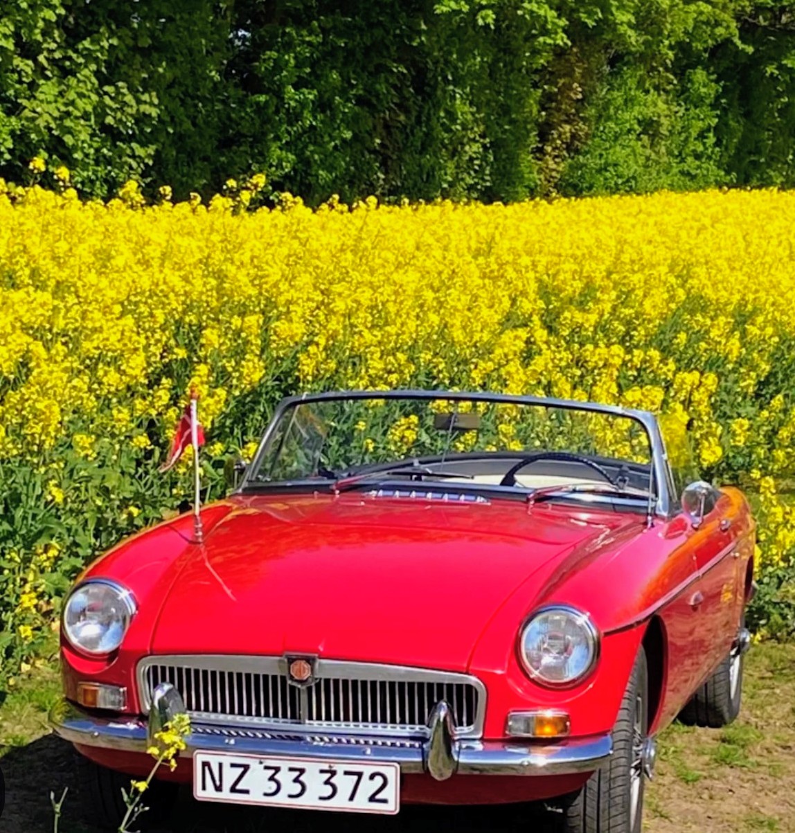 Rød klassisk cabriolet med kromdetaljer foran gult blomsterfelt og grønne træer.